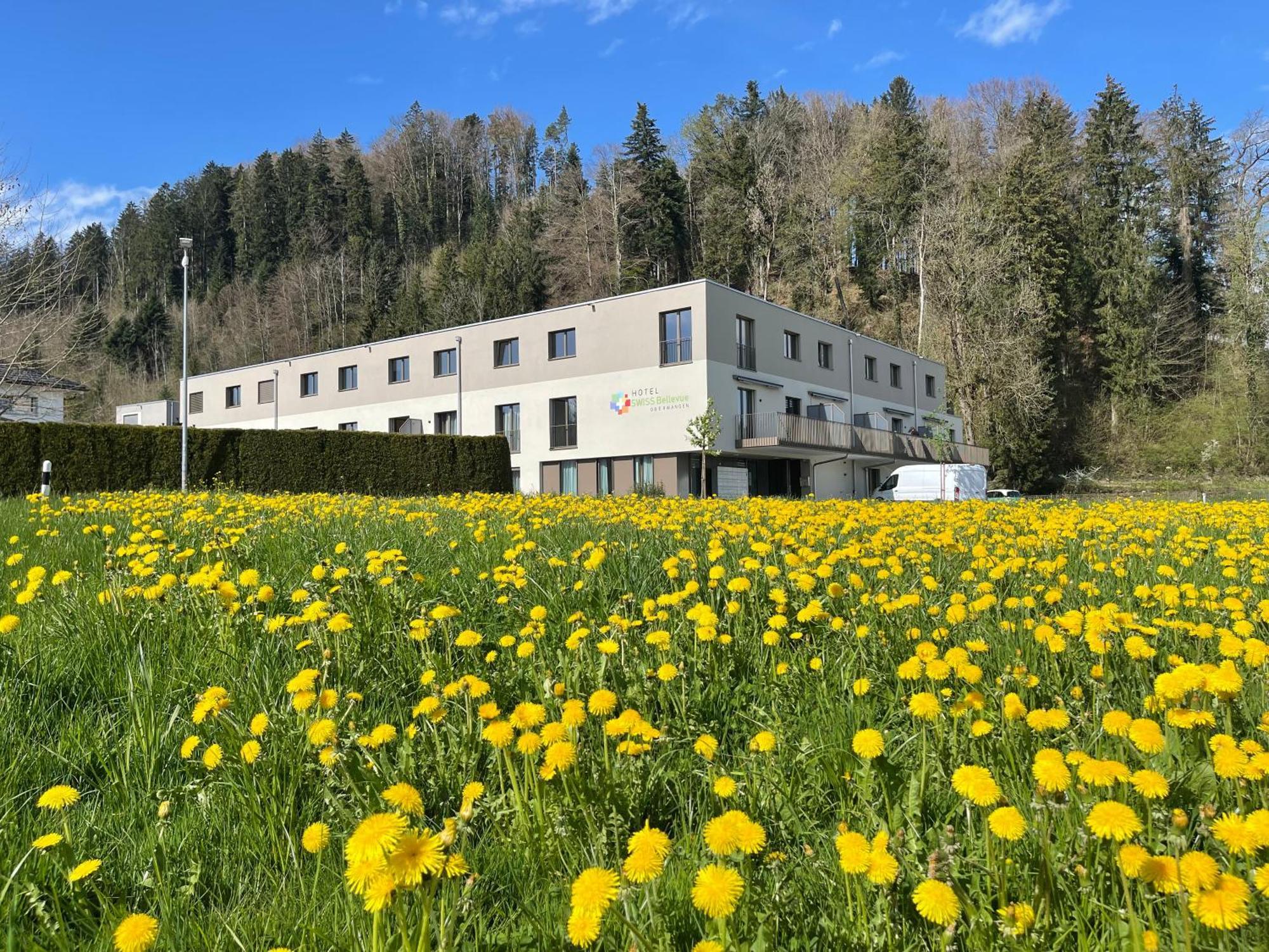 Hotel Swiss Bellevue Oberwangen Extérieur photo